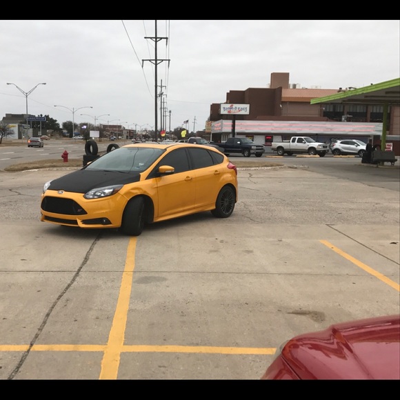 Meet your Posher, Carson - Picture 1 of 1